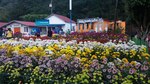 Feria Internacional en Boquete recibe más de 100 mil personas