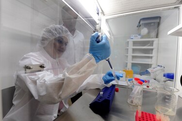 La peste negra moldeó los genes de los seres humanos