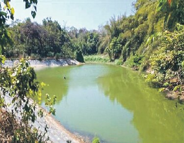 Contadora, un oasis sin agua potable