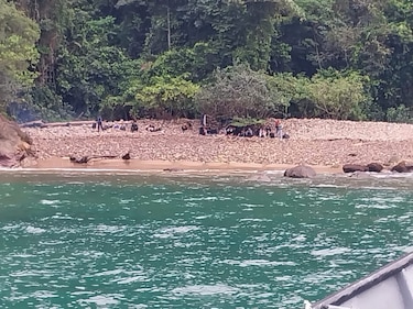 Rescatan a 40 migrantes chinos que fueron abandonados en Darién