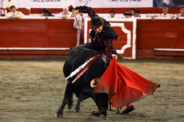 Aprueban en Colombia un proyecto de ley que prohíbe las corridas de toros en todo el país