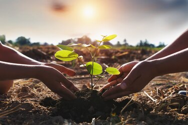 Millicom Tigo, líder en su región por su actuación ante el cambio climático según el CDP