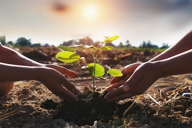 Millicom Tigo, líder en su región por su actuación ante el cambio climático según el CDP