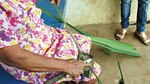 El de cañita es un tipo de sombrero que resiste el agua