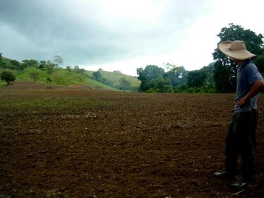 Escasas lluvias en Azuero ponen en jaque a agricultores de subsistencia