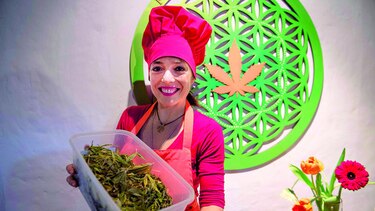 Comer cannabis como terapia