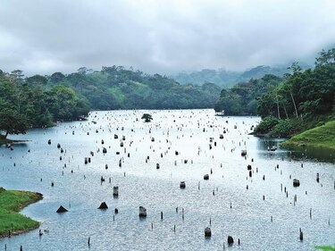 Diabluras de El  Niño en Panamá