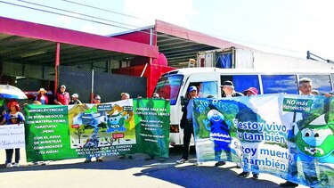 Apoyan moratoria con ley de hidroeléctricas