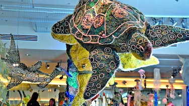 Tortugas enfermas