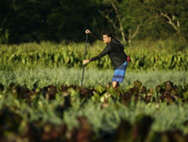El remo que despierta el Chagres