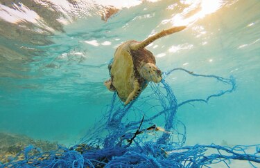 Ley acepta pesca de arrastre en Costa Rica