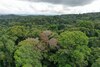 Educación ambiental: la ruta correcta