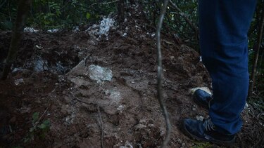 Una de las víctimas encontradas en fosa común en Villalobos es de Colombia