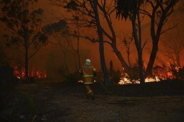 Nicaragua preocupada por alto número de incendios forestales