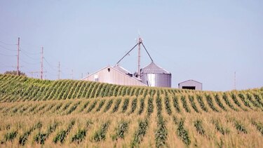 China excluye a EU para importación de bienes
