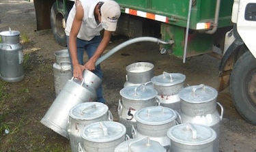 Productores de leche piden a Varela que se bajen las importaciones