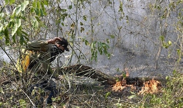 Incendios arrasan casi un millón de hectáreas en las serranías bolivianas