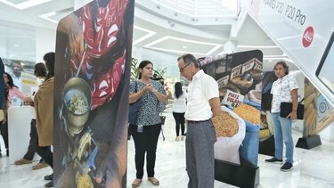 La ruta dorada del maíz en Panamá y el mundo