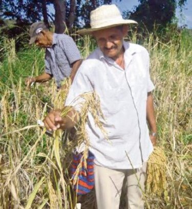 Agricultores reclaman recursos y mayor asistencia técnica