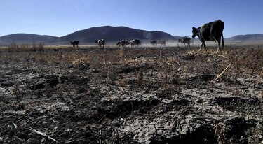 México promete más recursos para catástrofes en medio de su peor sequía