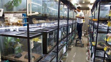 Abren un nuevo refugio para anfibios en Gamboa