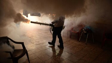 Minsa reporta menos casos de virus zika en el país