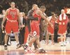 Los renovados Chicago Bulls