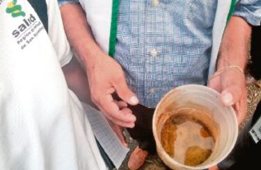 Casos de dengue aumentaron en Coclé