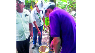 Confirman mil 36 casos de dengue en el país