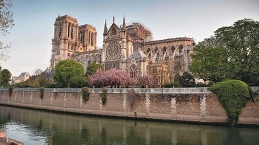 Notre Dame de París está presente en todas las artes