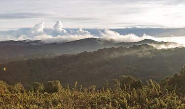 Por afectar áreas protegidas el presidente Varela veta proyecto de ley para crear la comarca Naso