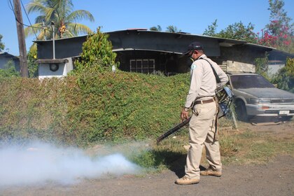 Dengue cobra más vidas en 2024: 26 muertes registradas, superando el total del año anterior