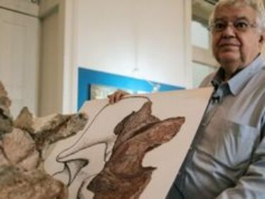 Descubren el mayor dinosaurio de Brasil que estuvo guardado 60 años en el clóset de un museo