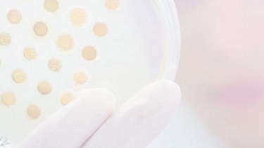 La gonorrea, cada vez más resistente a los antibióticos, según la OMS