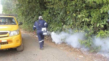Tres muertes por dengue alertan al Ministerio de Salud