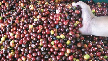 Colombia venderá café sin utilizar precio de Wall Street