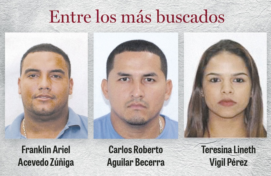 Desenmascaran dos estructuras criminales que operaban en el país