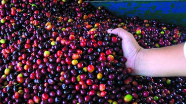 Exportaciones suben 2.8%