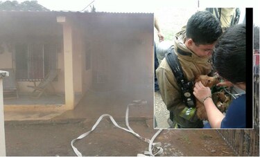 Rescatan perro con discapacidad motora durante incendio en Los Santos; bomberos le colocan oxígeno y lo llevan a ambulancia