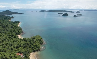 Intentan anular estudio que aprueba pista en Coiba