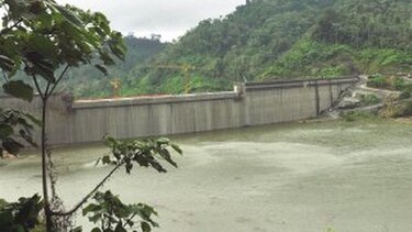 Evalúan falla de AES en muerte de peces