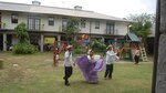 Un festival dedicado a la conservación de la rana dorada