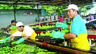 Coobana no quiere repetir ejemplo de Coosemupar R.L.