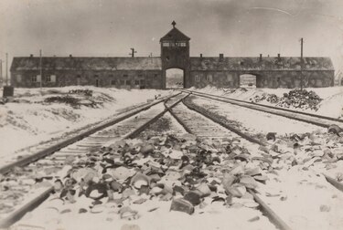 Miłosz Niewierowicz. Un voluntario en Auschwitz