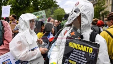 Reclaman mejoras en producción y recriminan a Bayer-Monsanto