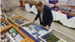 Una visita de colección