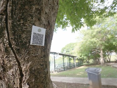 Un parque interactivo
