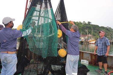 NOAA reconoce que Panamá utiliza correctamente el dispositivo que protege las tortugas