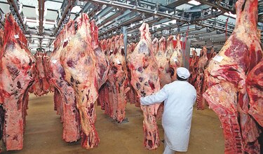 Carnes uruguayas arriban al mercado panameño