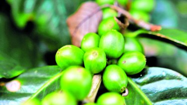 Exportaciones suben 3.8%